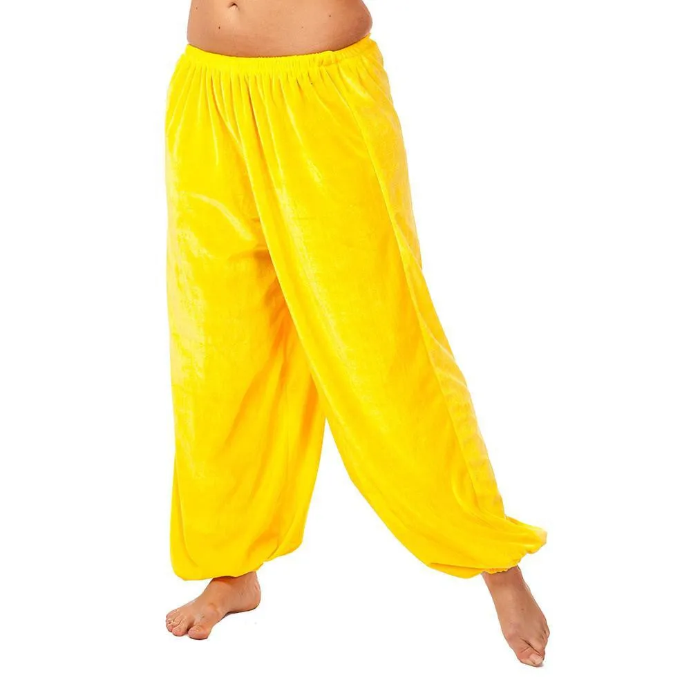 Belly Dance Velvet Harem Pants | VELVETEEN